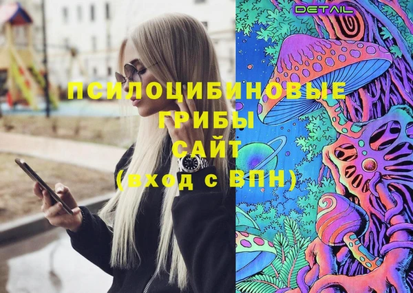 сатива Нефтегорск