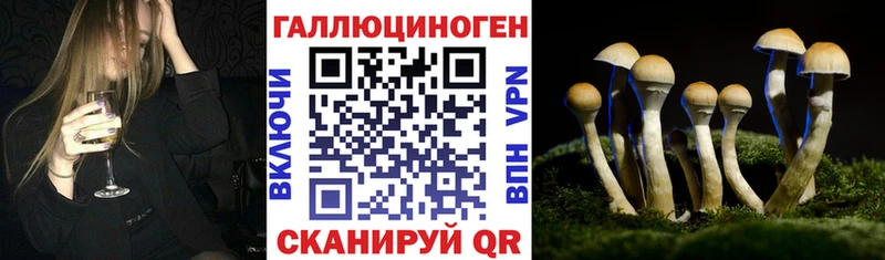 Псилоцибиновые грибы прущие грибы  купить наркотики сайты  ОМГ ОМГ ТОР  Знаменск 